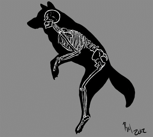 A drawing of a silhouette of a wolve and a human skeleton inside it.